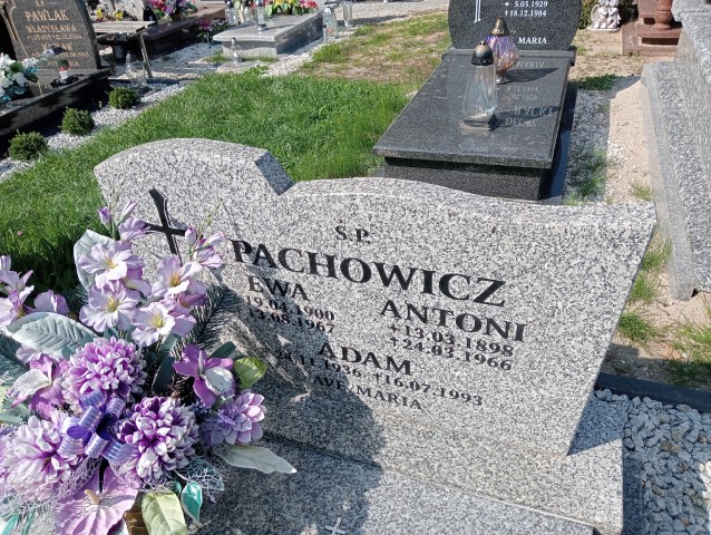 Adam Pachowicz 1936 Nowe Miasteczko - Grobonet - Wyszukiwarka osób pochowanych