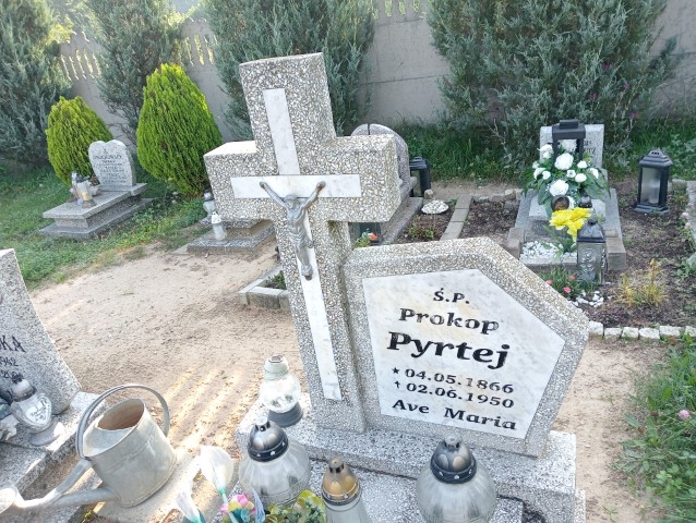 Prokop Pyrtej 1866 Nowe Miasteczko - Grobonet - Wyszukiwarka osób pochowanych