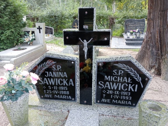 Michał Sawicki 1913 Nowe Miasteczko - Grobonet - Wyszukiwarka osób pochowanych